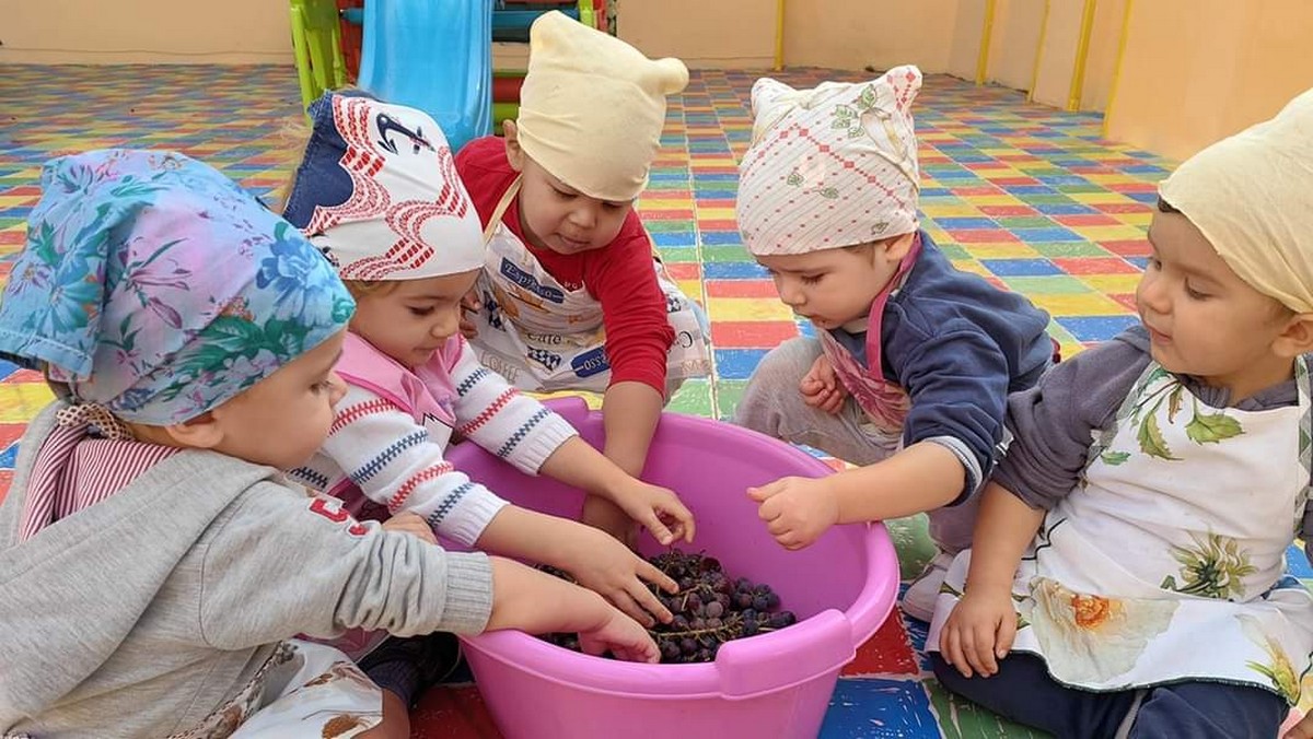 Scopri di più sull'articolo Vendemmia